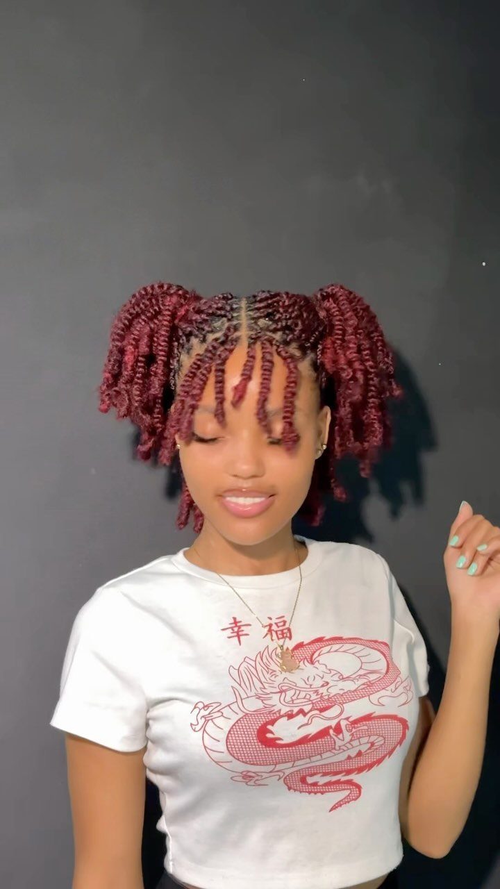 Person with short burgundy braids styled into two high pigtails