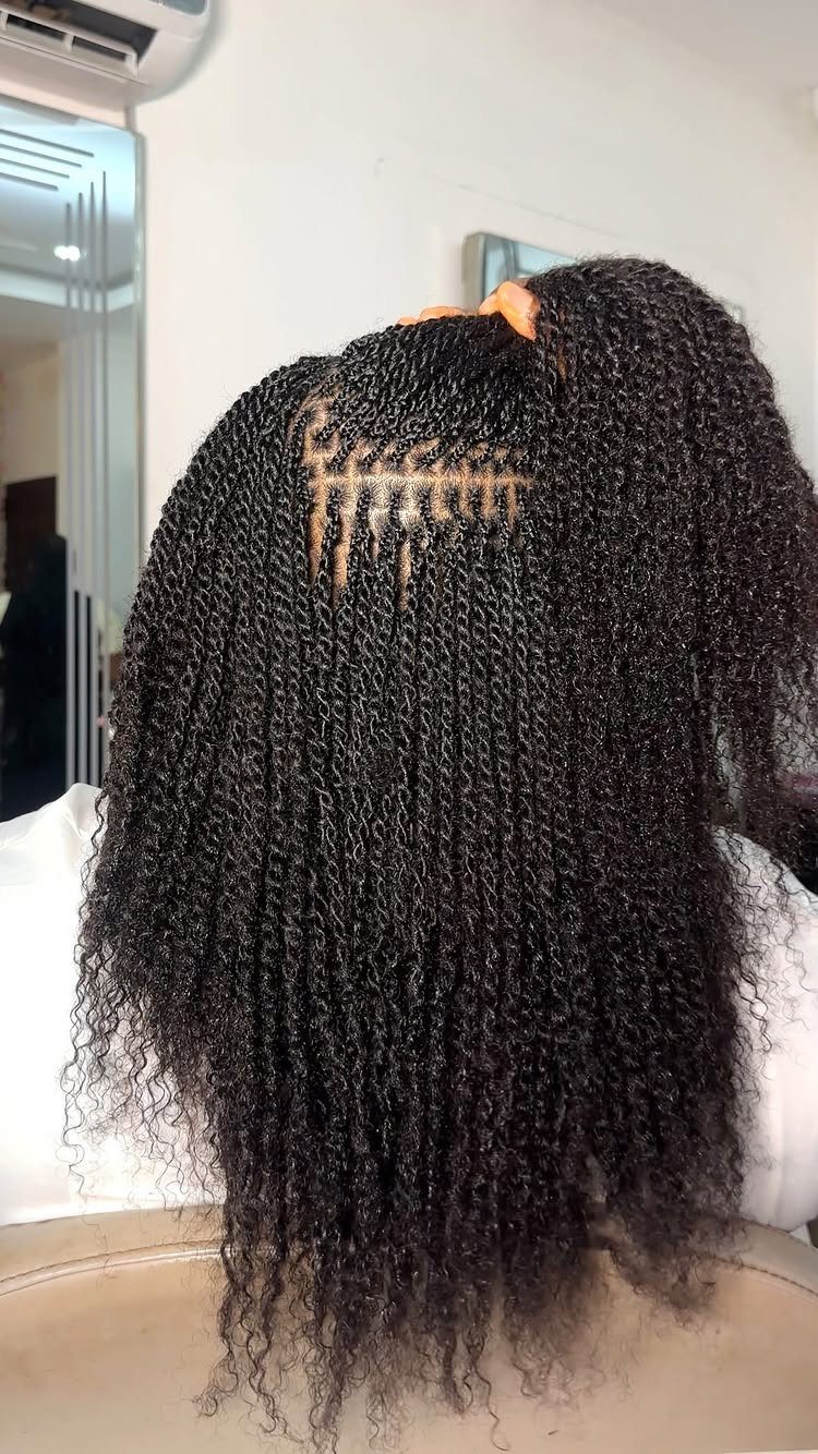 Micro twists cover long natural hair, with a small section gathered into a ponytail.