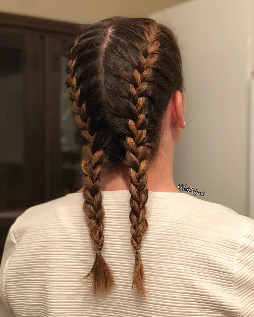 Two symmetrical French braids extending down the back from a center part