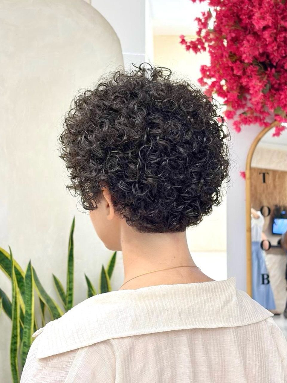 Rounded short dark ringlets form an even curly haircut viewed from behind