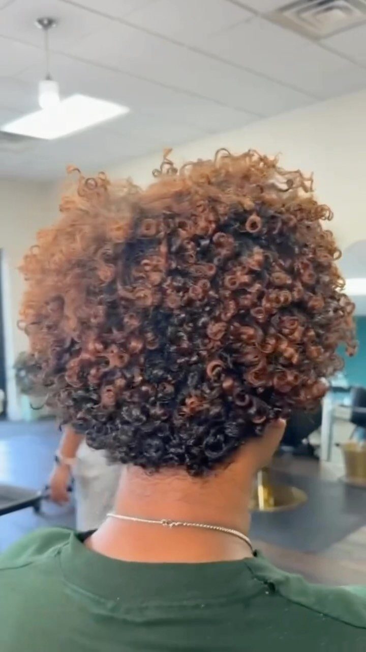 Defined brown and black coils form a voluminous wash-and-go hairstyle