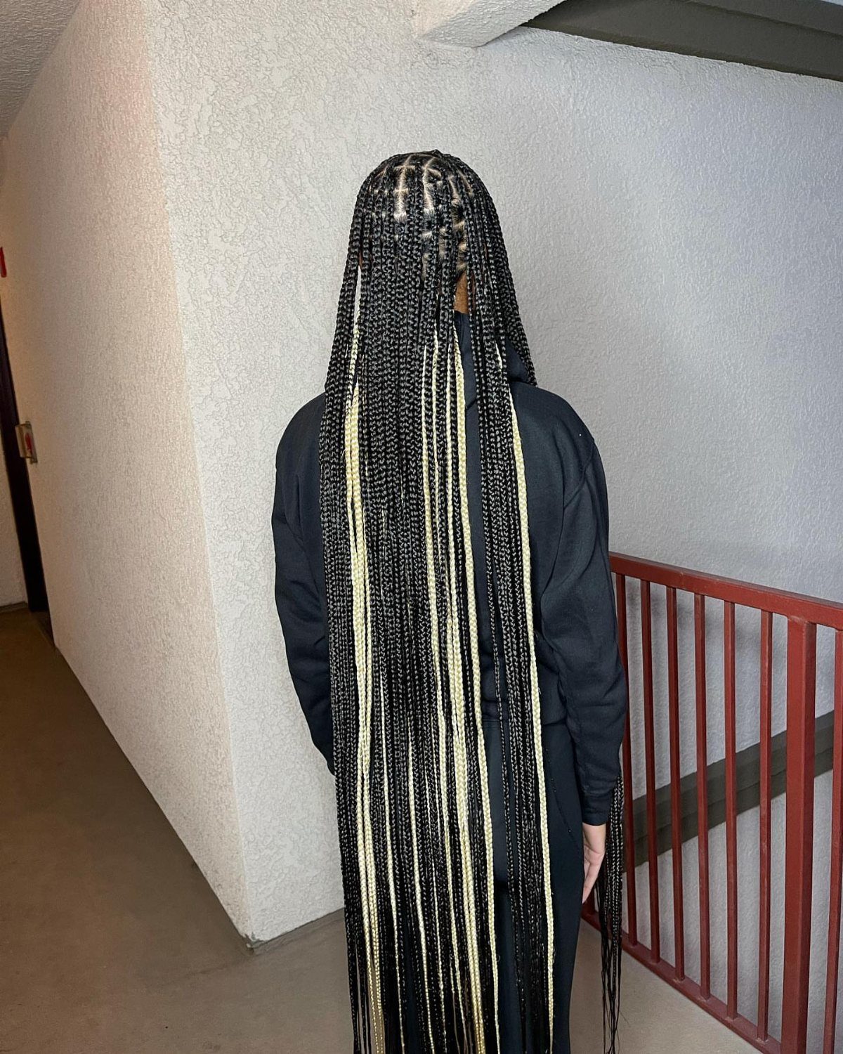 Long black braids with pale blonde highlights hang down the person's back