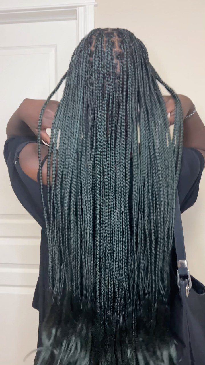 Long thin braids with muted green strands cascade down a person’s back