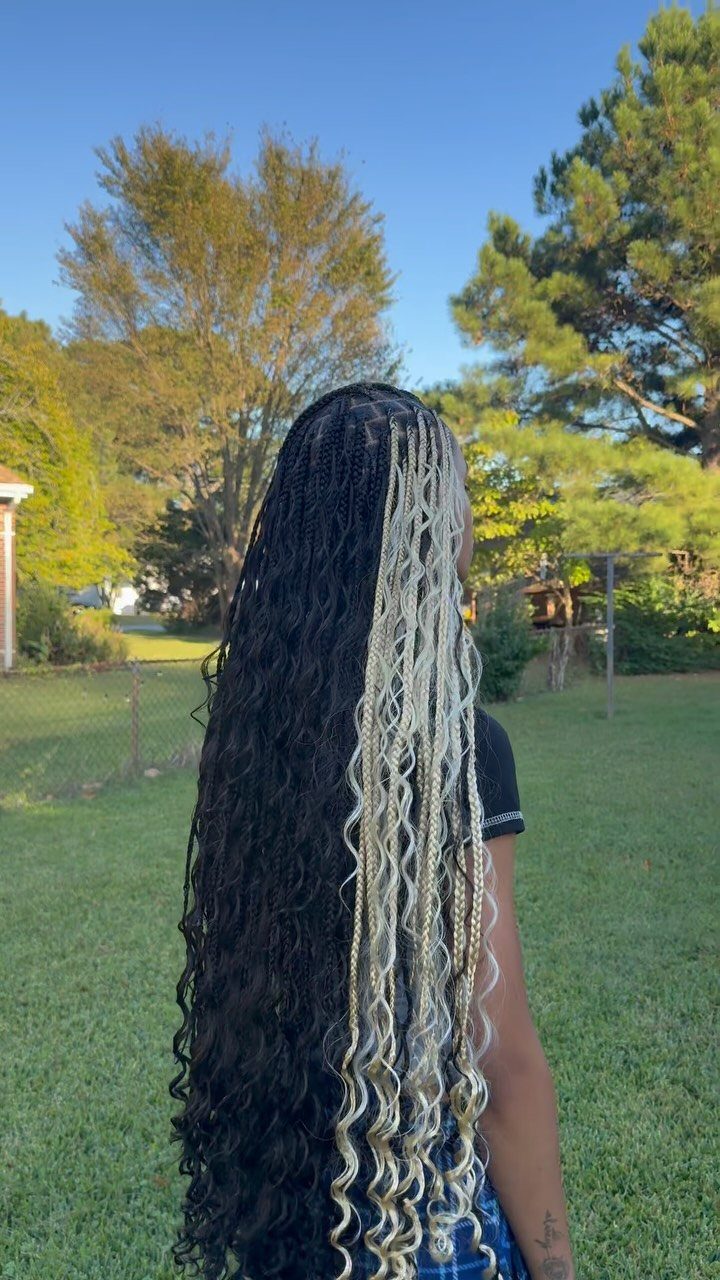 Long black braids interwoven with pale blonde and gray wavy strands