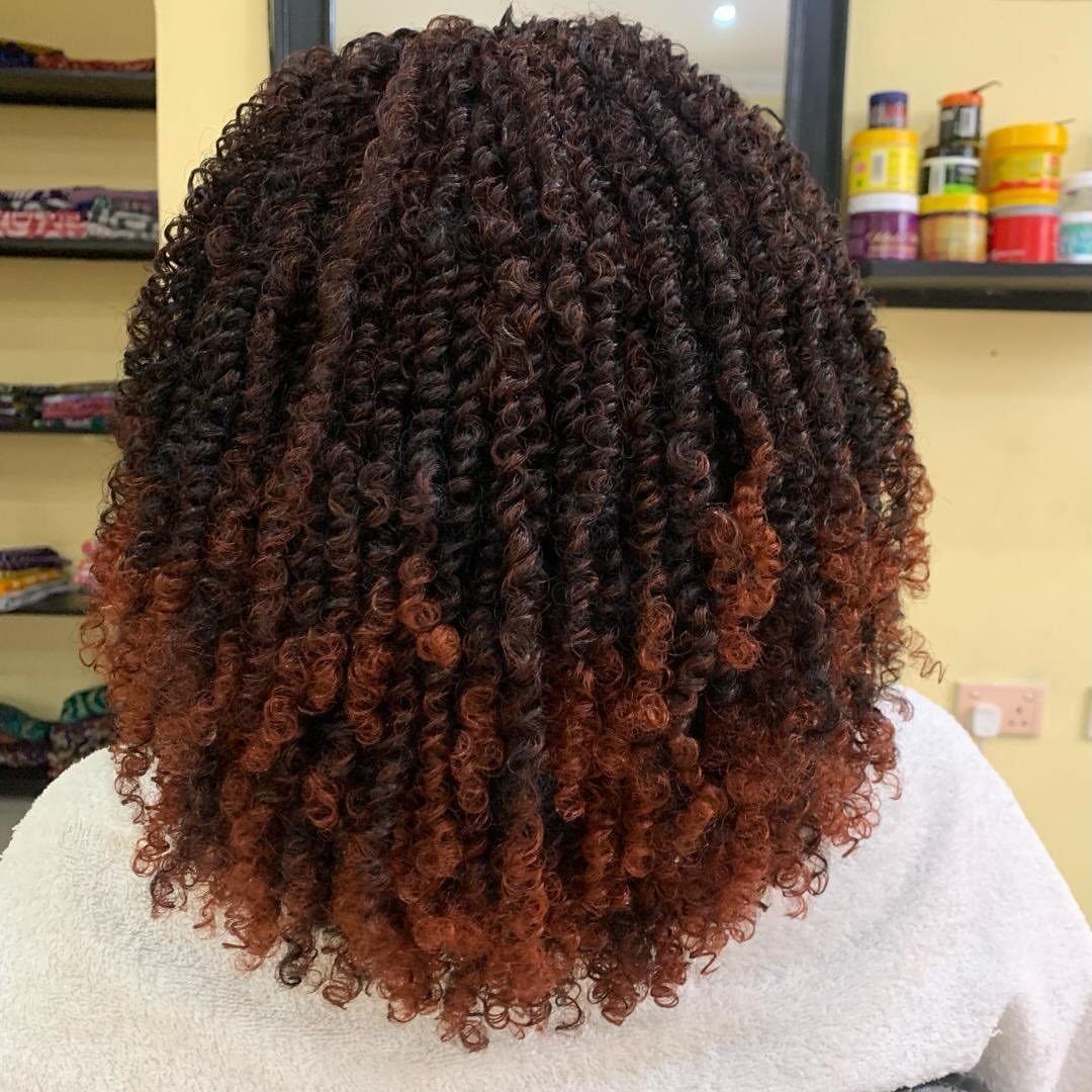 Dark auburn spring twists forming a rounded natural hairstyle from the back
