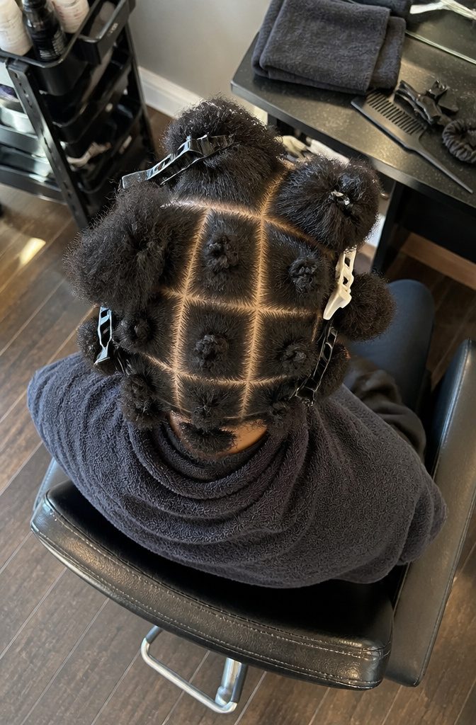 Natural hair divided into clipped sections for twisting