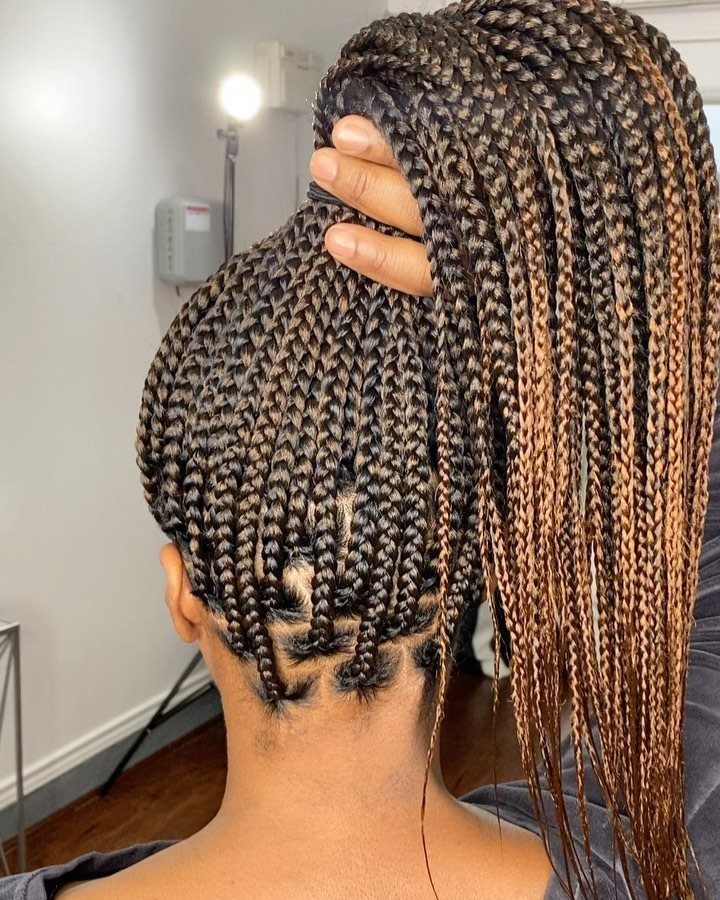 Long box braids gathered into a mid-height ponytail from the back