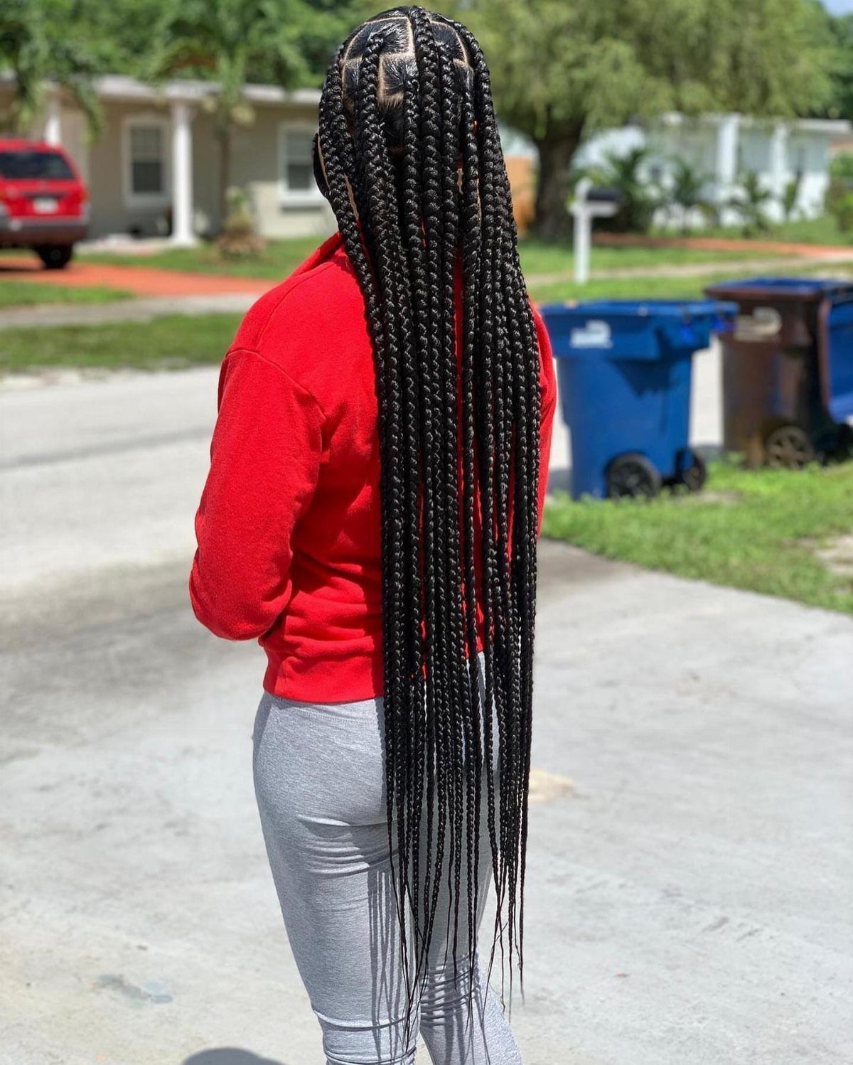 Long black box braids fall down a person's back to the upper thighs.