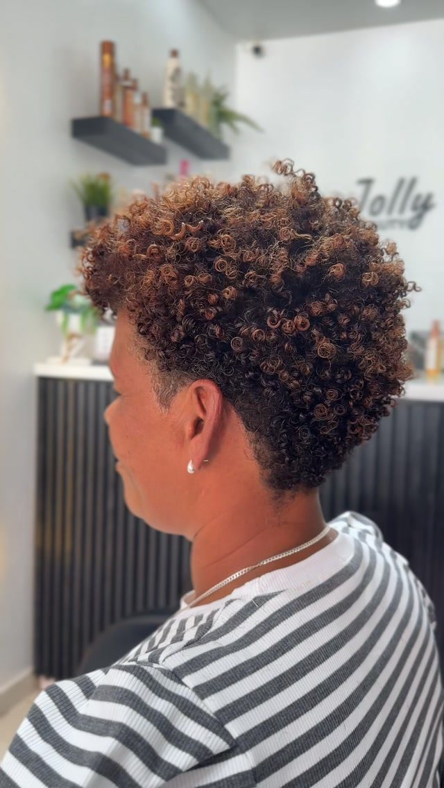 Short rounded brown afro with defined curls and lighter tips