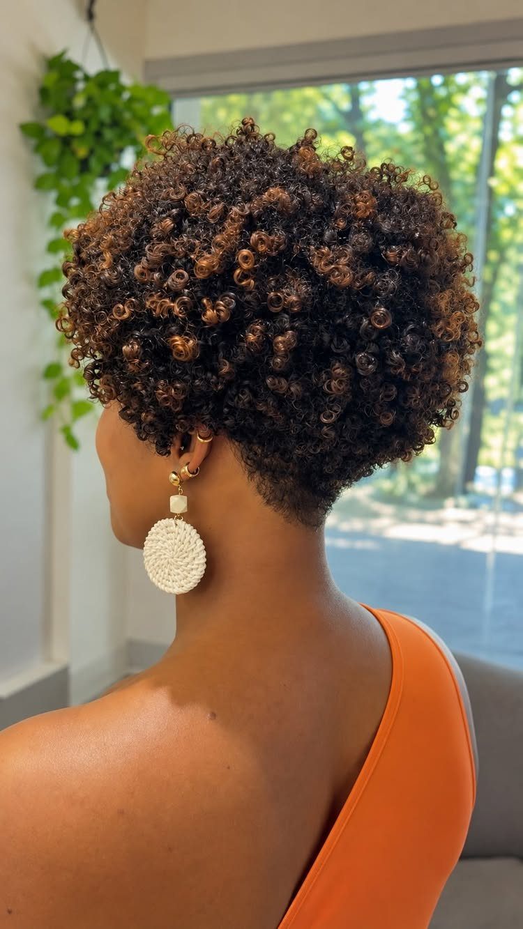 Tapered afro with dense brown-highlighted curls and shorter hair at the nape