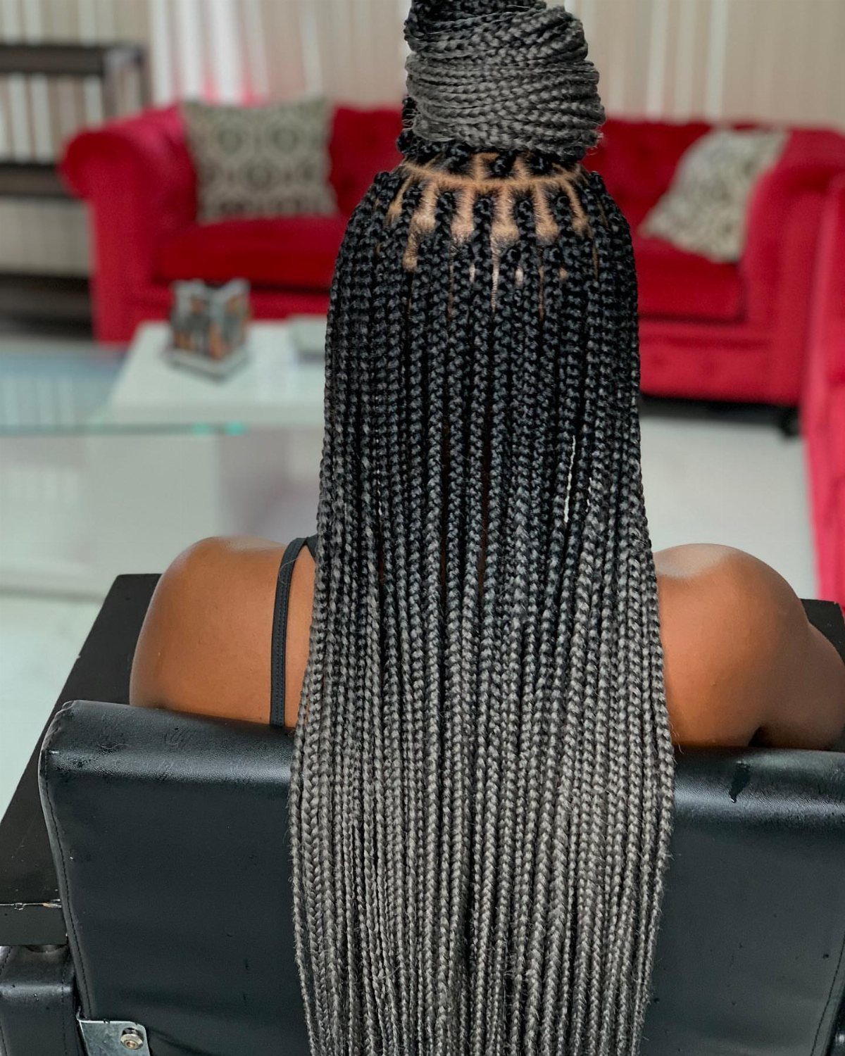 Small box braids gathered into a high braided bun with long braids hanging down