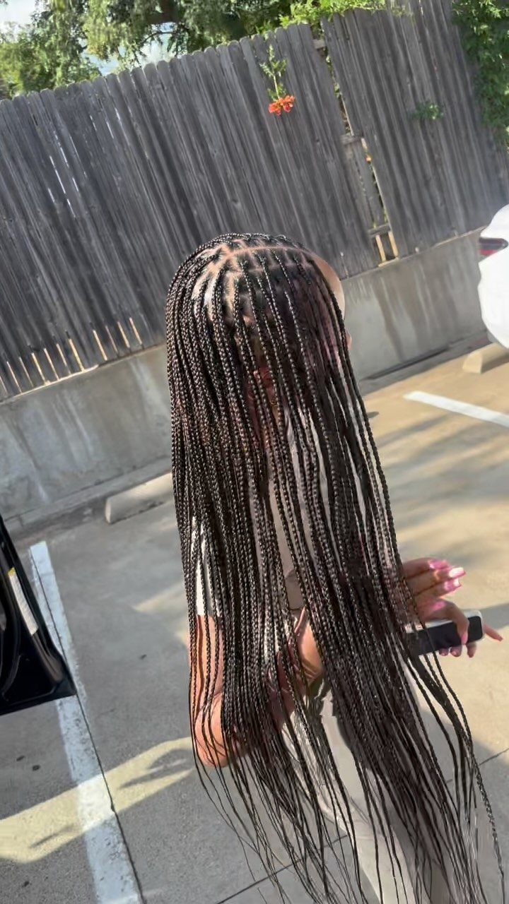 Long dark box braids with a few light strands hang below the waist