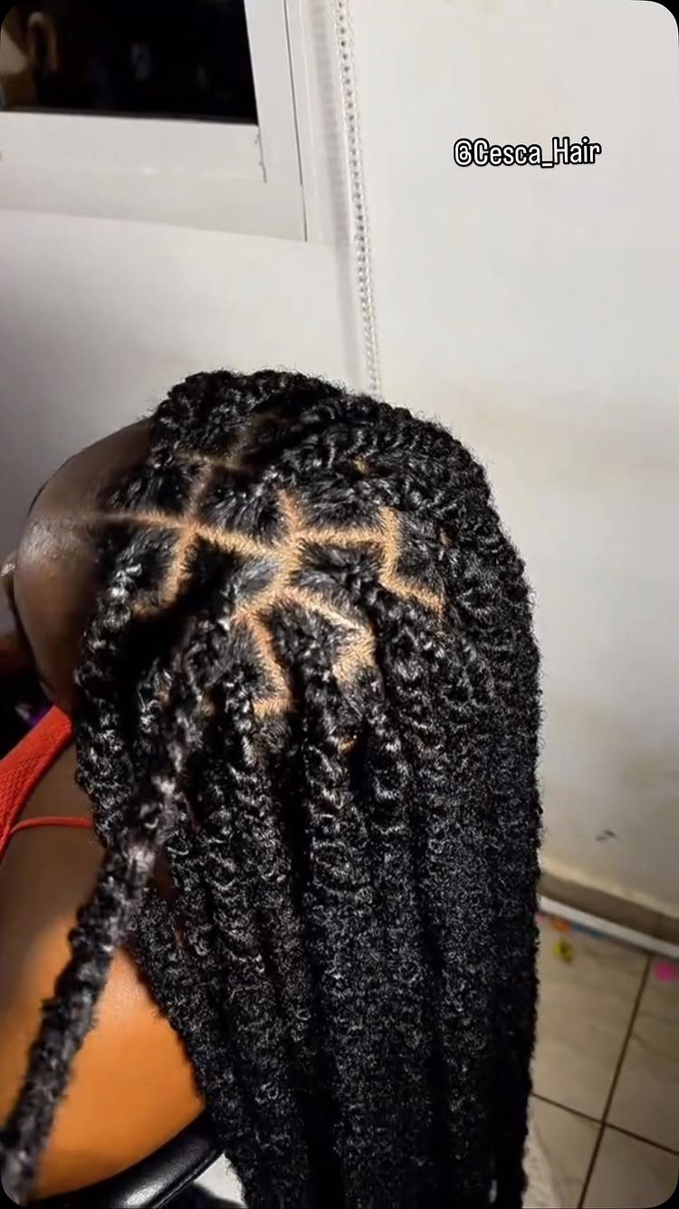 Long, thick black twists fall from neat sectioned roots