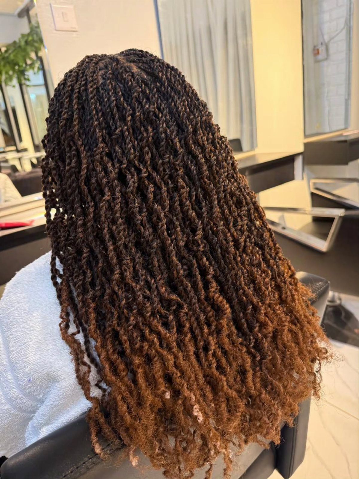 Thick Havana twists with brown ends cascade down a seated person's back