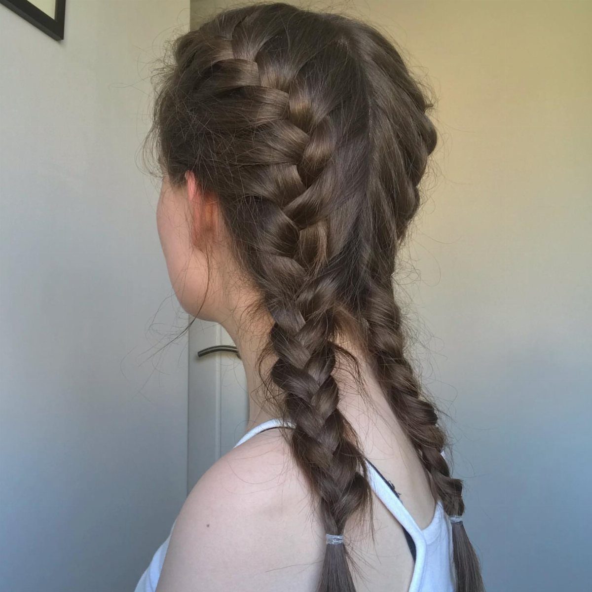 Two thick brown French braids flow down the back of a person’s head