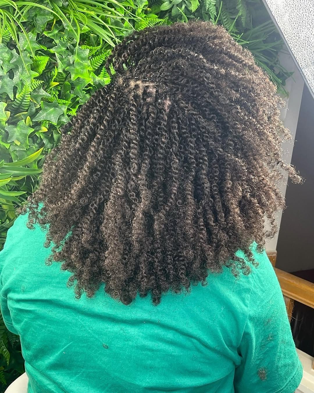 Defined natural curls spread across the back of a person’s head